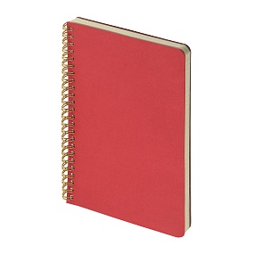 Тетрадь общая BrunoVisconti®
А5 (135 х 198 мм.)
"PRAGMATIC" красный 60 л., линейка
Арт. 7-60-1402/05