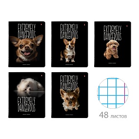 Тетрадь общая Альт®
А5 (165 х 203 мм)
"ОСОБО ОПАСНЫЕ СОБАЧКИ" 48 л., клетка
Арт. 7-48-1336
обложка в ассортименте