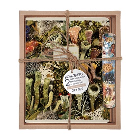 Набор подарочный "FLORA.Эльфийский лес" (две тетради и ручка в тубе)
Арт. 7-48-1343-3/4