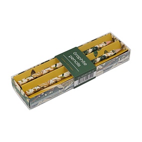 Набор чернографитовых карандашей BV
НВ, грифель 2 мм
2 шт. Flora "FLORA.SUMMER GREENS"
Арт. 21-0030/92-22