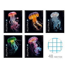 Тетрадь общая Альт®
А5 (165 х 200 мм)
"МЕДУЗЫ ФЕНТЕЗИ" 48 л., клетка
Арт. 7-48-1346
обложка в ассортименте