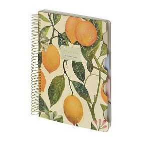 ЗАПИСНАЯ КНИЖКА "ART JOURNAL" B5,120 Л. НА СПИРАЛИ, С РАЗДЕЛИТЕЛЯМИ "FLORA.LEMONS"
Арт. 3-819/01