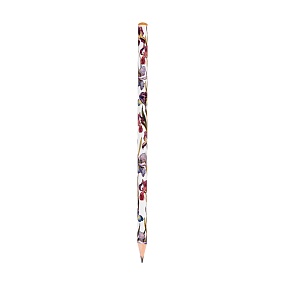 Карандаш BrunoVisconti®
чернографитовый, НВ, грифель 2 мм
Flora "FLORA.ИРИСЫ"
Арт. 21-0030/100