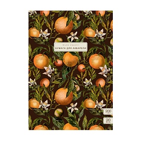 Бумага для акварели BrunoVisconti®
А3 (305 х 430 мм)
"FLORA.АПЕЛЬСИНЫ" 20 л.
Арт. 4-159