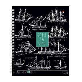 Тетрадь общая Альт®
А5 (168 х 200 мм)
"BLUEPRINT" 96 л., клетка
Арт. 7-96-1300
обложка в ассортименте