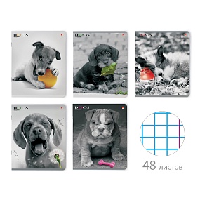 Тетрадь общая Альт®
А5 (165 х 203 мм)
"ЩЕНКИ. КОНТРАСТЫ" 48 л., клетка
Арт. 7-48-1026
обложка в ассортименте