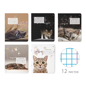 Тетрадь школьная 12 листов Альт®
А5 (165 х 203 мм)
"УДИВИТЕЛЬНЫЕ КОТЯТА" 12 л., клетка
Арт. 7-12-475/1
обложка в ассортименте