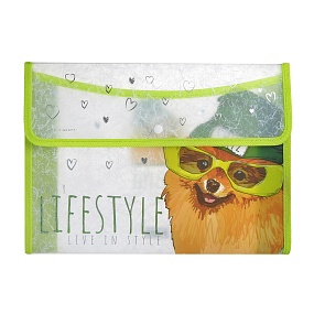 Папка-конверт на кнопке BrunoVisconti®
А4 (33  х  24 см)
"ПСЫ НА СТИЛЕ. ШПИЦ"
Арт. 14-030/10