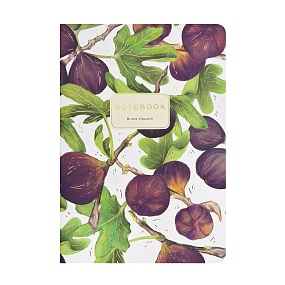 Тетрадь общая BrunoVisconti®
А5 (147 х 210 мм)
"FLORA.ИНЖИР" 40 л., клетка
Арт. 7-40-001/226
