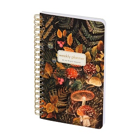 Еженедельник BrunoVisconti® недатированный
А5 (120 х 180 мм)
"FLORA.FOREST FAIRY TALE" мультиколор 72 л.
Арт. 3-816/07