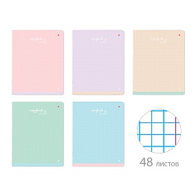 Тетрадь общая Альт®
А5 (165 х 203 мм)
"БРИЗ" 48 л., клетка
Арт. 7-48-1202
обложка в ассортименте