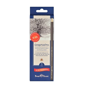 Набор карандашей BrunoVisconti
GraphixPro, чернографитовые, 9 шт. 
В_2В_3В_4В_5В_6В_7В_8В_9В
Арт. 21-0040