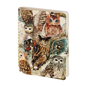 Ежедневник BrunoVisconti® недатированный
А6 (130 х 175 мм)
"FAUNA.ВОЛШЕБНЫЕ СОВЫ" 272 стр.
Арт. 3-812/03