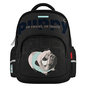 Рюкзак BrunoVisconti®
классический 
черный с эргономичной спинкой
«FRENCH PUPPY»
Арт. 12-002-249/01