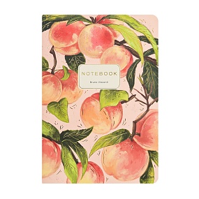 Тетрадь общая BrunoVisconti®
А5 (147 х 210 мм)
"FLORA.ПЕРСИКИ" 40 л., клетка
Арт. 7-40-001/224