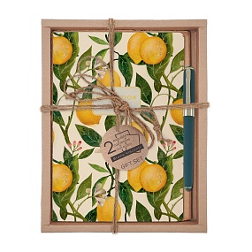 НАБОР ПОДАРОЧНЫЙ "FLORA.PARADISE.Lemons" (ДВЕ ТЕТРАДИ BV И РУЧКА)
Арт. 7-40-001/217-3