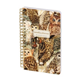 Еженедельник BrunoVisconti® недатированный
А5 (120 х 180 мм)
"FAUNA.ВОЛШЕБНЫЕ СОВЫ" мультиколор 72 л.
Арт. 3-816/04